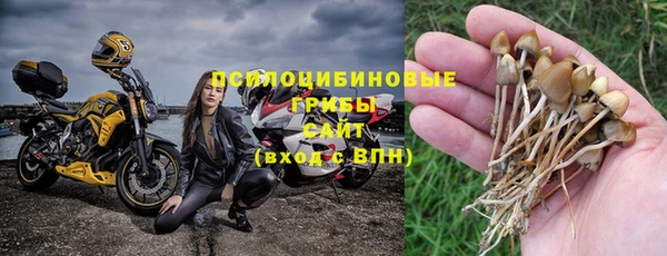 дмт Алзамай