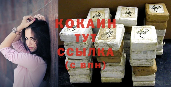 дмт Алзамай