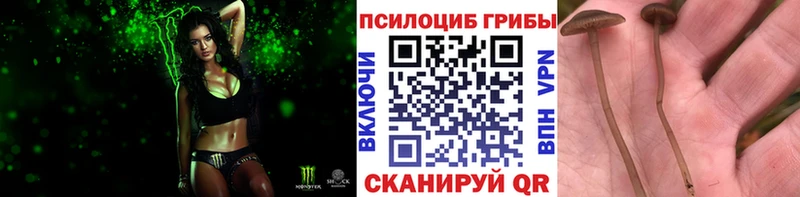OMG ТОР  Пикалёво  Псилоцибиновые грибы GOLDEN TEACHER 